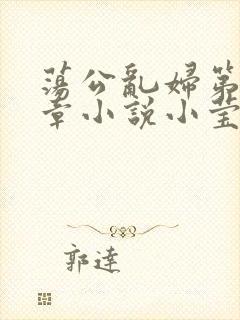 荡公乱妇第51章小说小莹