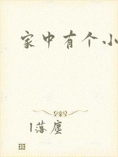 家中有个小姨子封面
