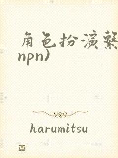 角色扮演系统(npn)