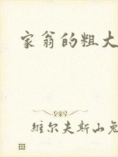 家翁的粗大