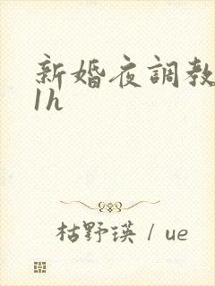 新婚夜调教1v1h