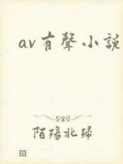 av有声小说封面