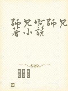 师兄啊师兄的原著小说封面