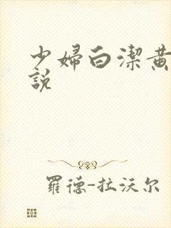 少妇白洁黄色小说