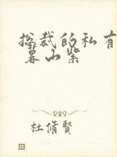 总裁的私有宝贝 暮山紫