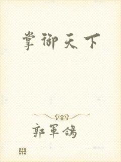 掌御天下封面