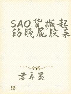 SAO货撅起你的贱屁股来