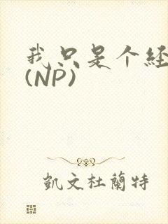 我只是个经纪人(NP)