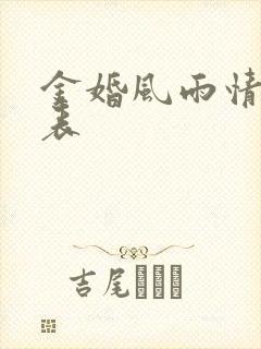 金婚风雨情演员表封面