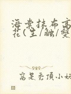 海棠抹布高岭之花(生/触/双)