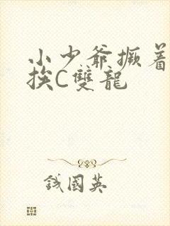 小少爷撅着屁股挨C双龙封面