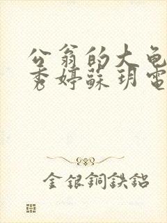 公翁的大龟挺进秀婷苏玥电影封面