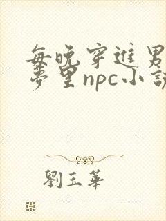 每晚穿进男神的梦里npc小说封面