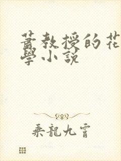 萧教授的花式教学小说