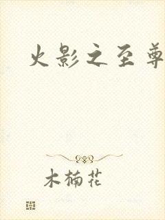 火影之至尊邪帝