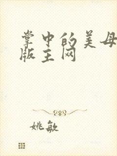 掌中的美母第一版主网封面