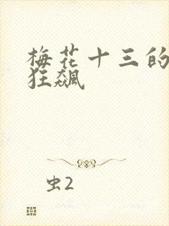 梅花十三的乳液狂飙封面