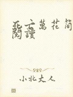 死亡万花简小说阅读