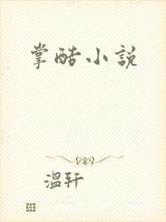 掌酷小说