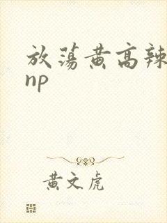 放荡黄高辣h文np