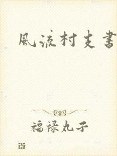 风流村支书封面