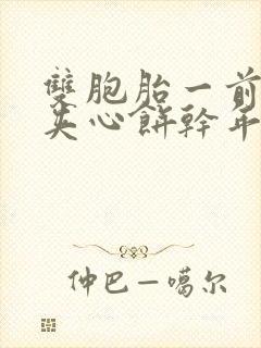 双胞胎一前一后夹心饼干年下