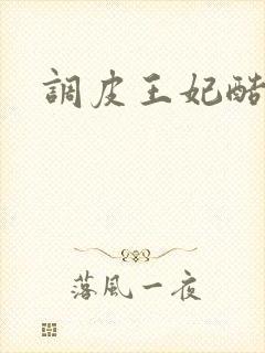 调皮王妃酷王爷