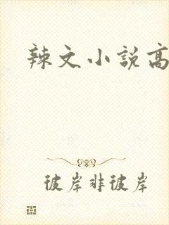 辣文小说高h