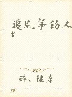 追风筝的人txt