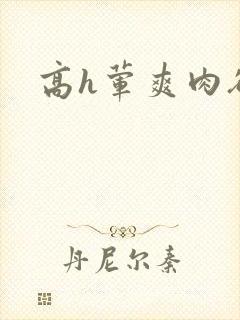 高h荤爽肉欲文