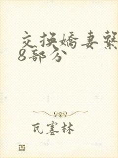 交换娇妻系列38部分