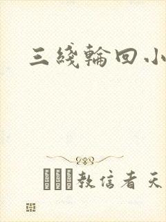 三线轮回小说封面