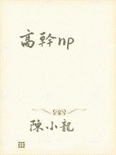 高干np封面