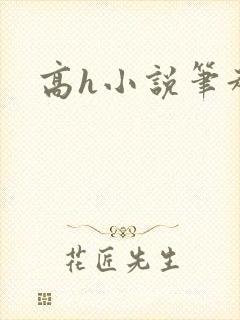 高h小说笔趣阁封面