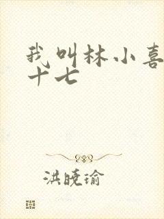 我叫林小喜今年十七
