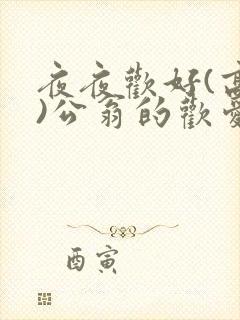 夜夜欢好(高h)公翁的欢爱