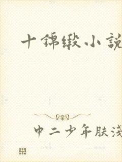 十锦缎小说