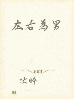 左右为男封面