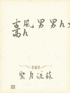 古风男男h文肉高h封面