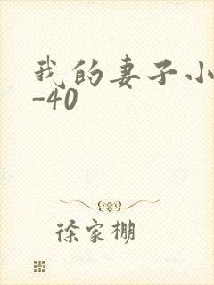 我的妻子小谨1-40封面