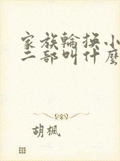 家族轮换小说第二部叫什么名字封面