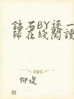 钻石BY逐一而归在线阅读