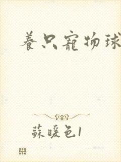 养只宠物球封面