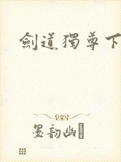 剑道独尊下载封面