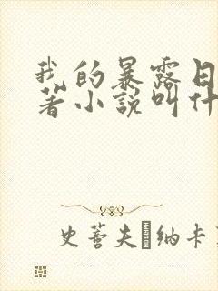 我的暴露日记原著小说叫什么