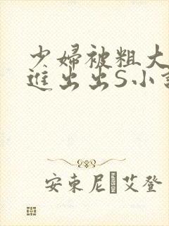 少妇被粗大猛进进出出S小说