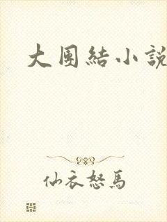 大团结小说全文封面