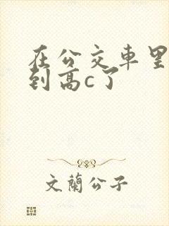 在公交车里c弄到高c了封面