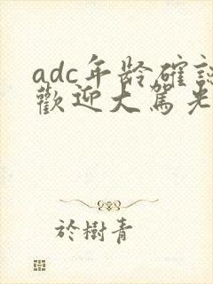 adc年龄确认欢迎大驾光临小说