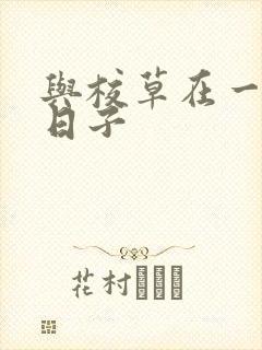 与校草在一起的日子